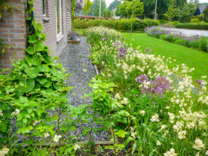 Duurzaamste tuin van Nederland