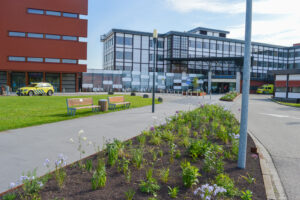 Een warm welkom door groen bij Nij Smellinghe