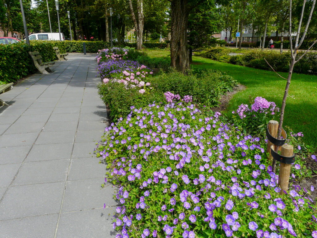 Groen in de zorg bij Abbingahiem