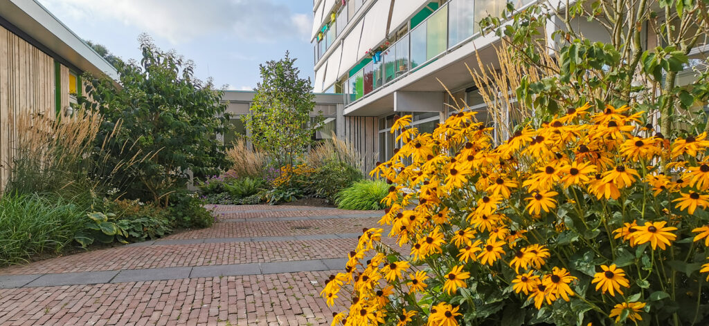 Groen in de zorg bij Abbingahiem