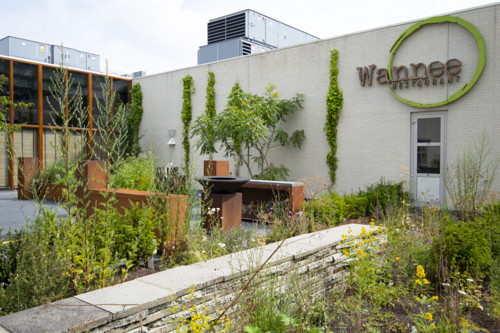 stimuleer je zintuigen in de restauranttuin van Wannee in Leeuwarden