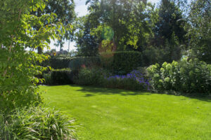 Moderne villatuin met optimale groenbeleving