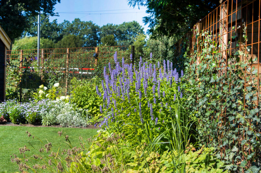 Moderne leeftuin met veel kleur in Emmen
