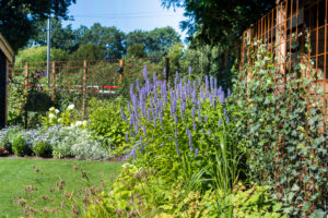 Moderne leeftuin met veel kleur in Emmen
