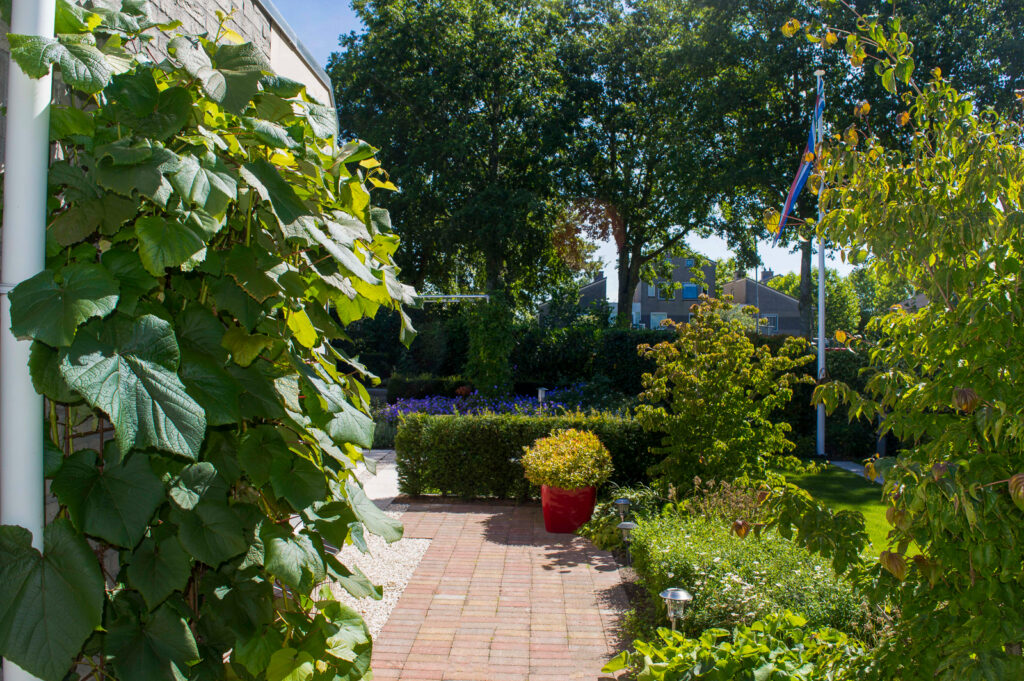 Moderne villatuin met optimale groenbeleving