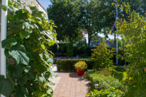 Moderne villatuin met optimale groenbeleving