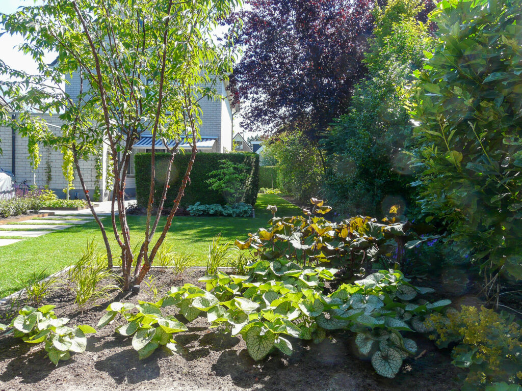 Moderne leeftuin met veel kleur in Emmen