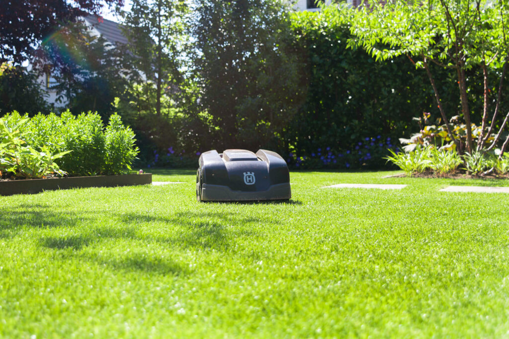 Moderne leeftuin met veel kleur in Emmen