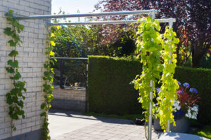 Moderne leeftuin met veel kleur in Emmen