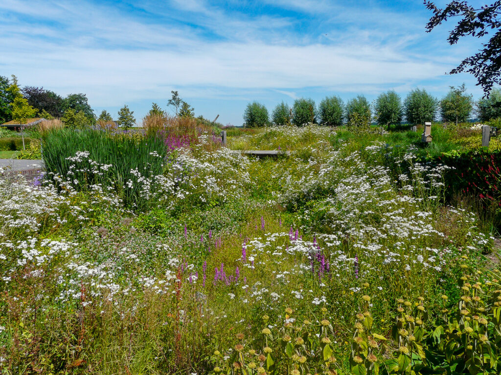 Moderne landschapstuin