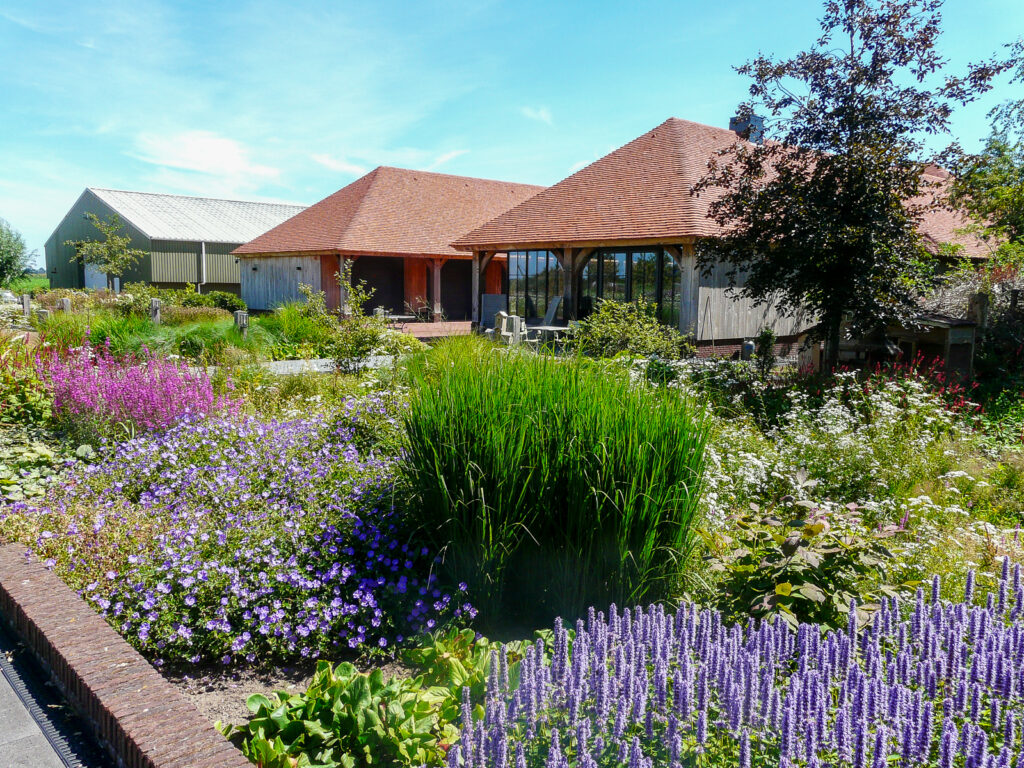 Moderne landschapstuin