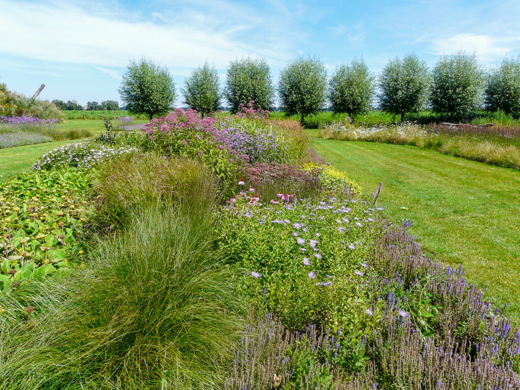 Moderne landschapstuin