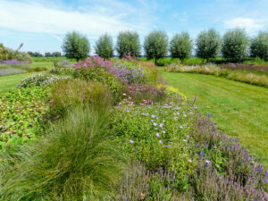 Moderne landschapstuin