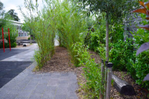 Groen schoolplein CBS De Hoeksteen