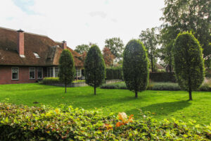 Ruimtelijke tuin Nieuw Buinen