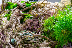 Groen voor tentoonstelling Human After All