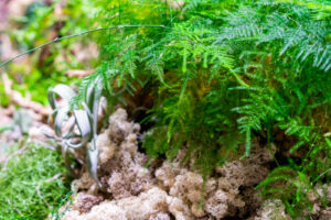 Groen voor tentoonstelling Human After All