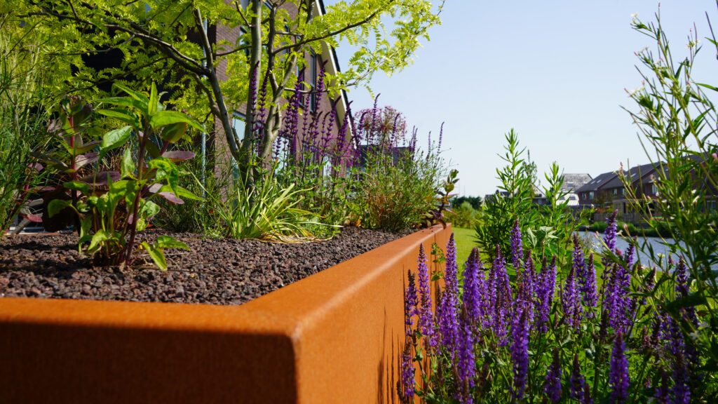 Moderne tuin Workum