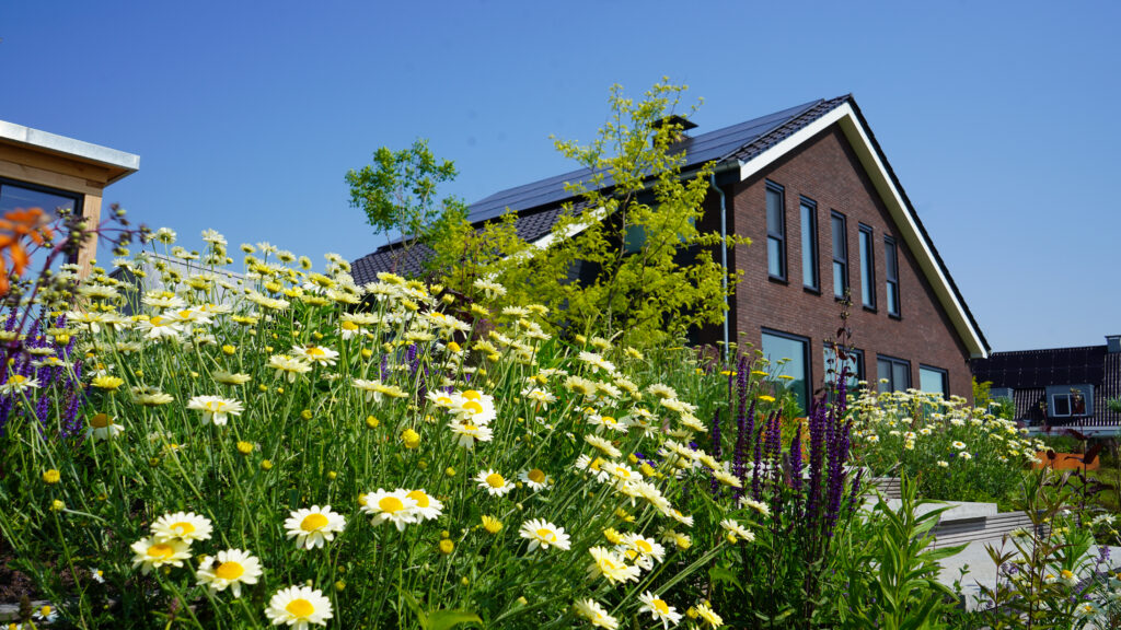 Moderne tuin Workum