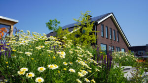 Moderne tuin Workum