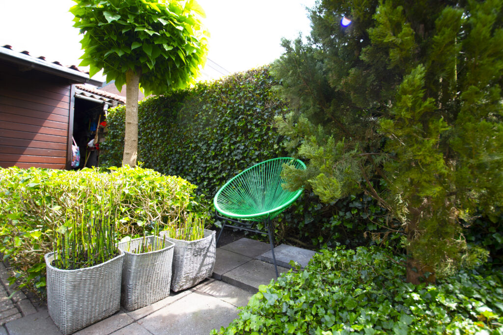 Romantische tuin in Emmen