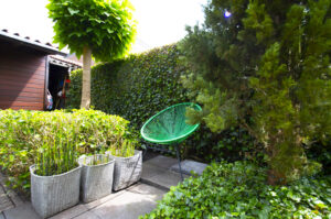 Romantische tuin in Emmen
