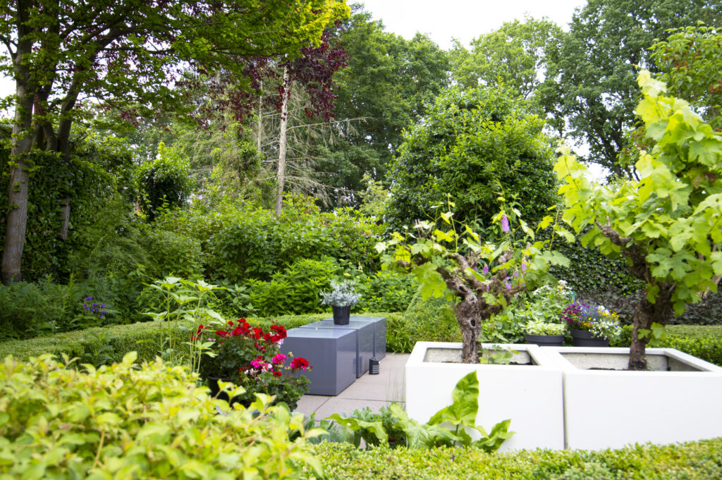 Romantische tuin in Emmen