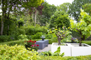 Romantische tuin in Emmen