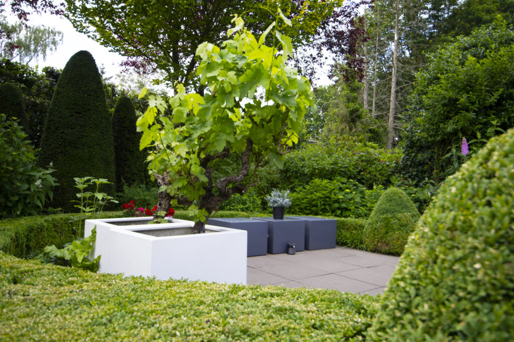 Romantische tuin in Emmen