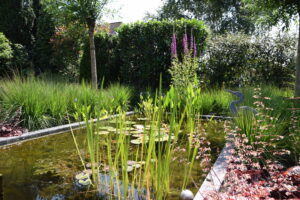 Villatuin Emmen met Friese touch