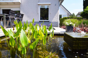 Villatuin Emmen met Friese touch