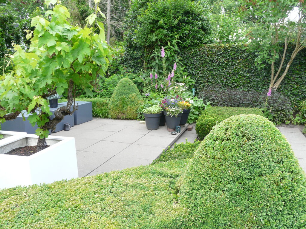Romantische tuin in Emmen