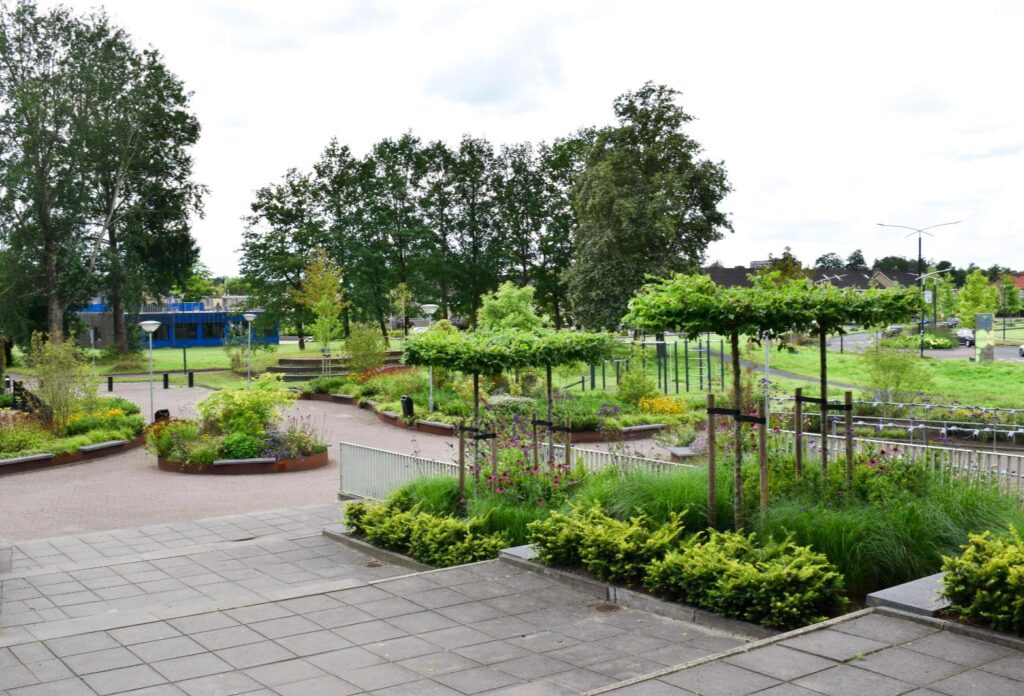 Renovatie schoolterrein