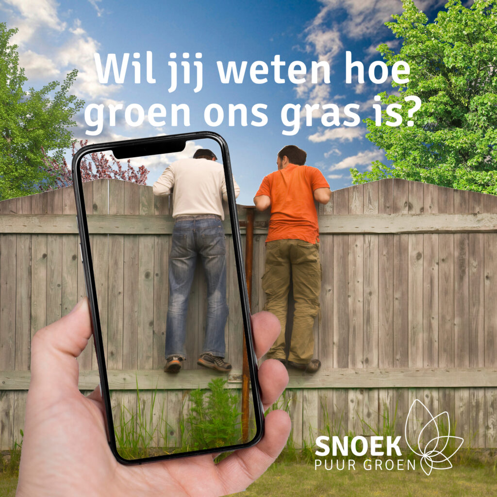 groen gras