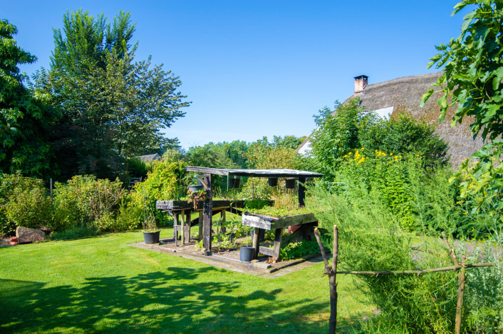 boerderijtuin gees