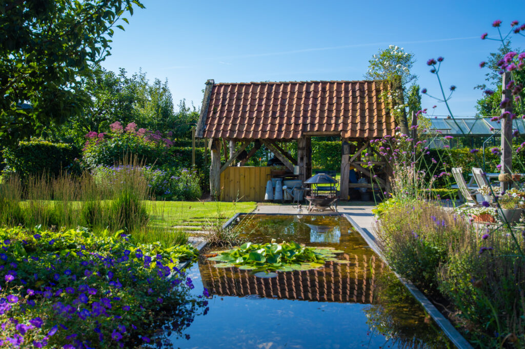 boerderijtuin gees