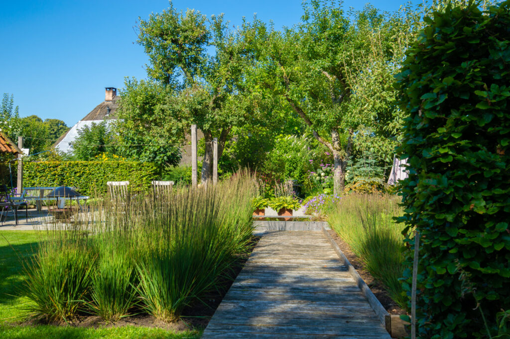 boerderijtuin gees