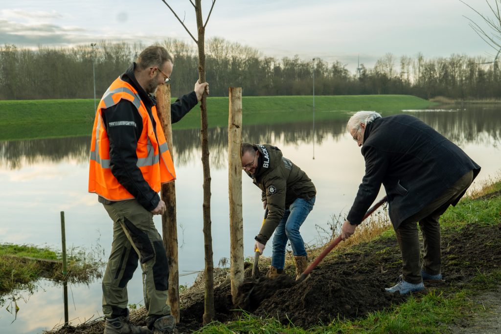 bomen zijn belangrijk