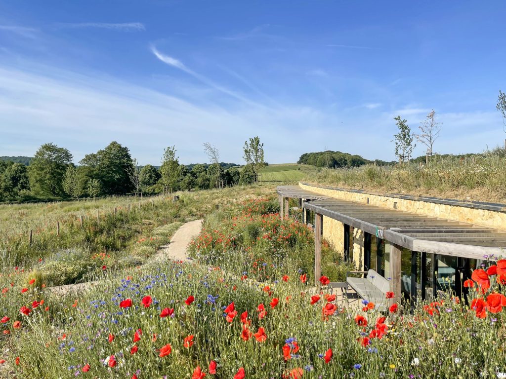 Lodges in de heuvels van Gulpen