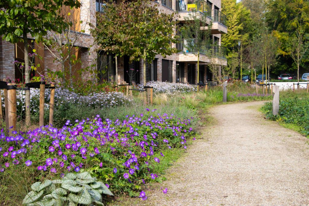 levendige tuin voorbeeld snoek puur groen