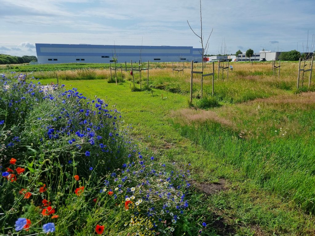 Vepa Emmen, werklandschap van de toekomst