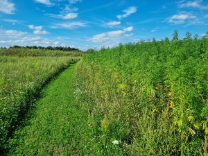 Vepa Emmen, werklandschap van de toekomst