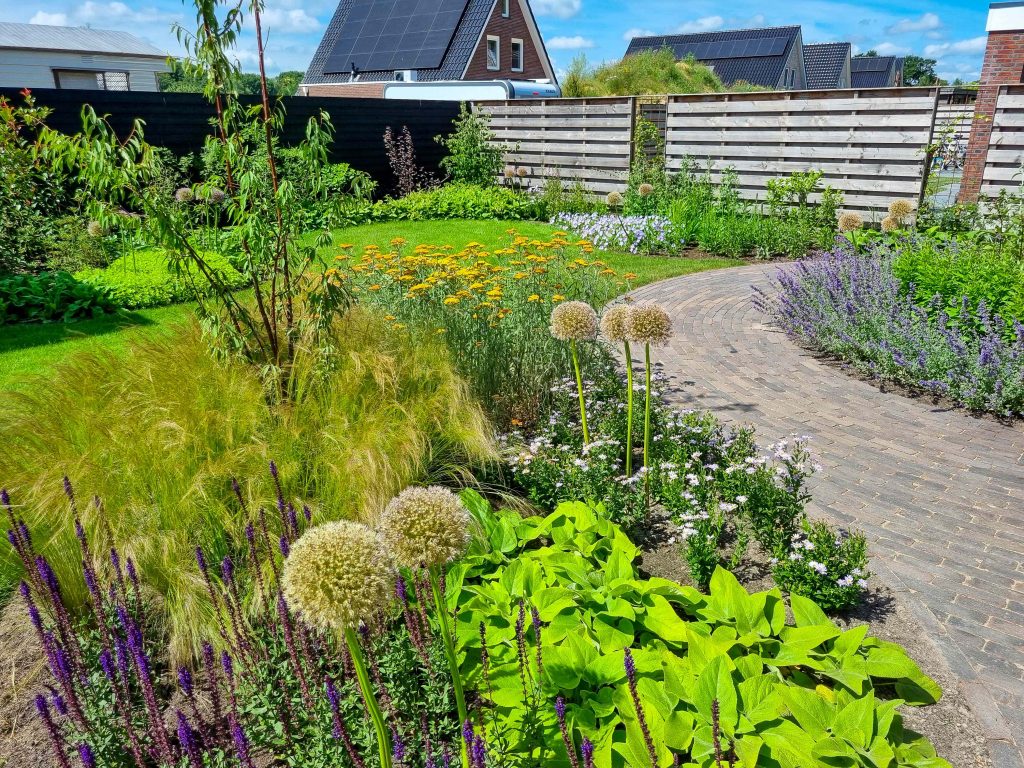 levendige tuin voorbeeld snoek puur groen