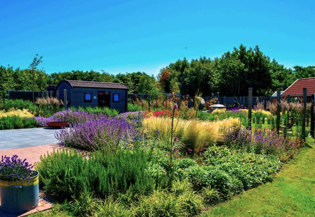 levende tuin minder blauw