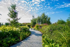 levendige tuin voorbeeld snoek puur groen