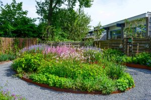 levendige tuin voorbeeld snoek puur groen