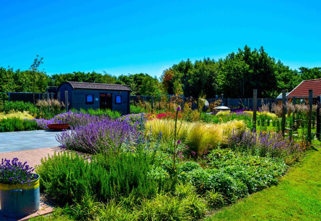 levendige tuin voorbeeld snoek puur groen