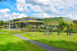 groen schoolplein