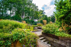 levendige tuin voorbeeld snoek puur groen