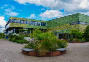 groene schoolpleinen